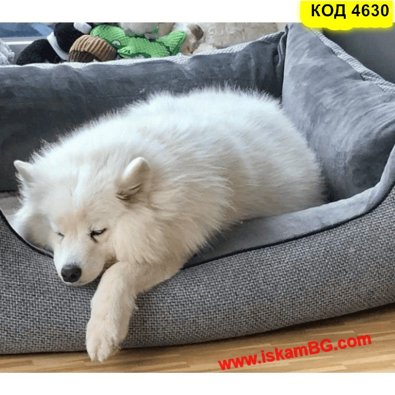Красиво легло за кучета и котки | Уют, комфорт и лесно почистване